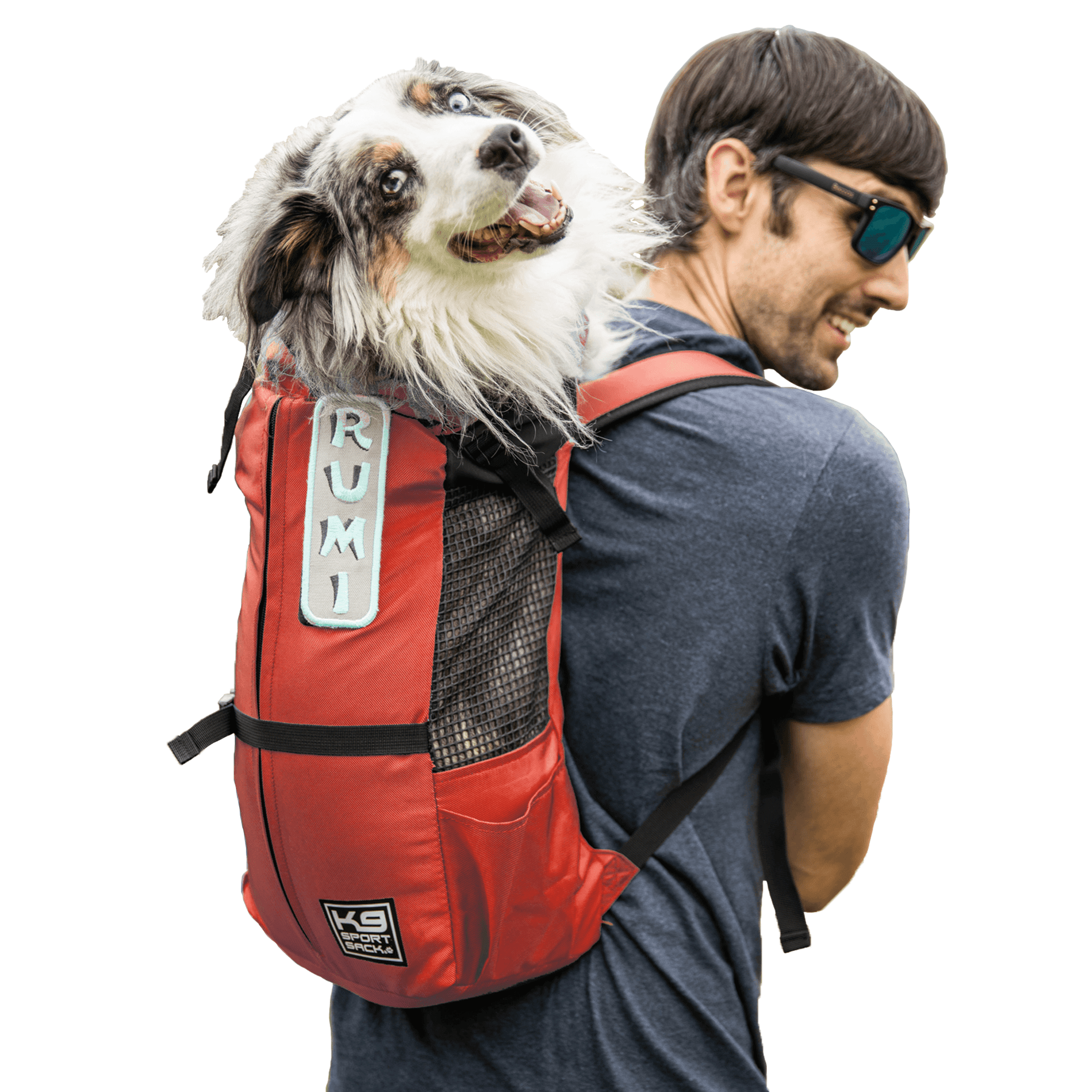 K9 Sport Sack Trainer (Color: Grey, Size: Large (20"-23" from collar to tail))