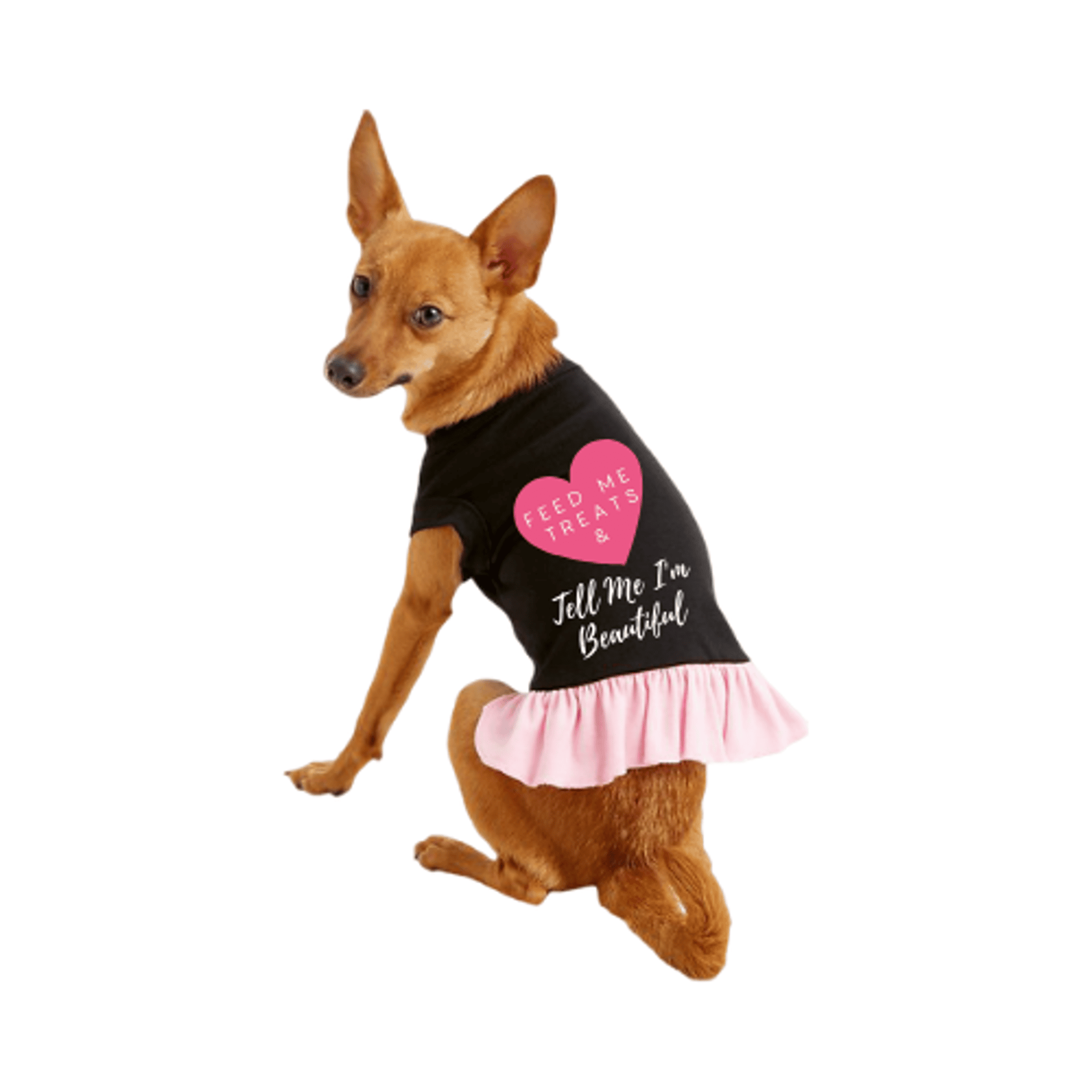 Feed Me Treats & Tell Me I'm Beautiful (Color: Pink, Size: X Small)