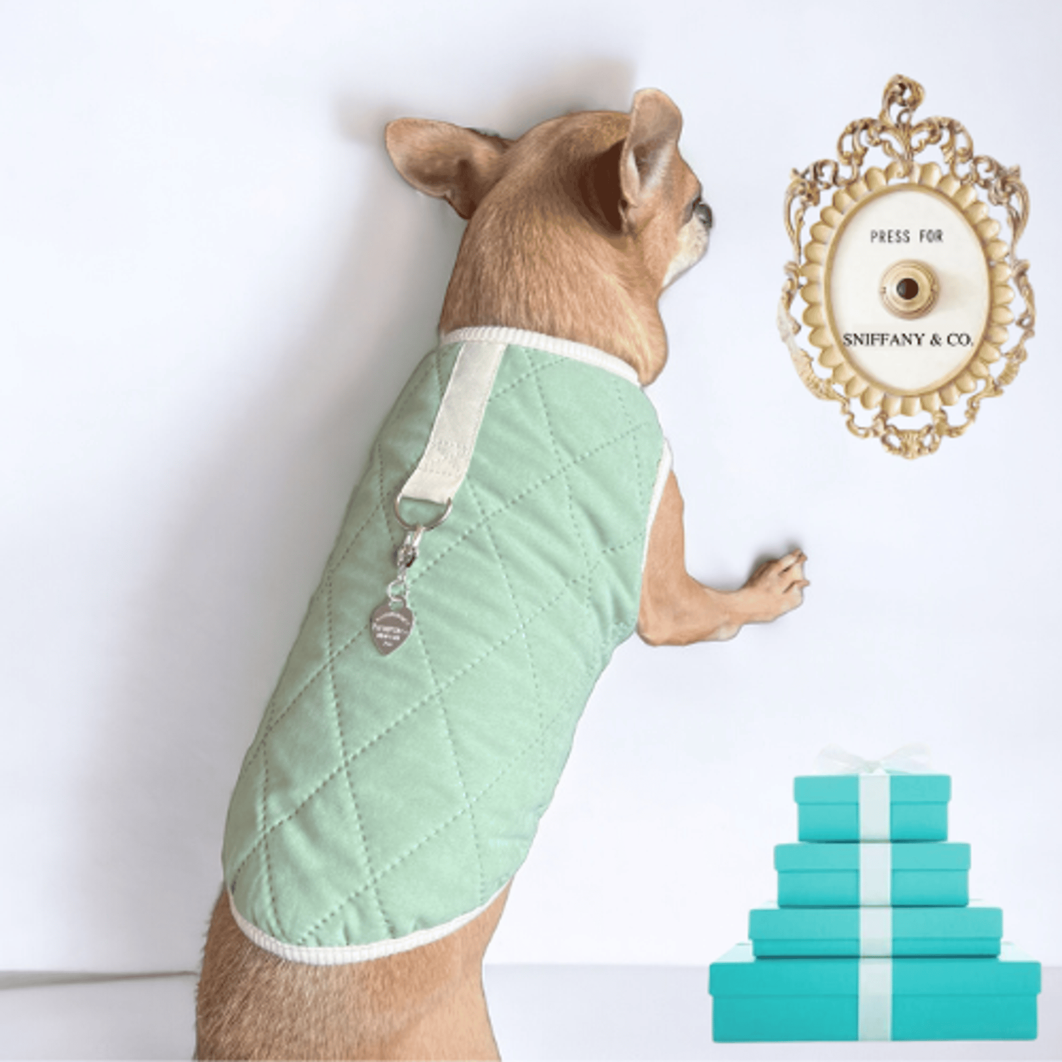 Quilted Sniffany Puff Vest- Dog Coat (Size: S)