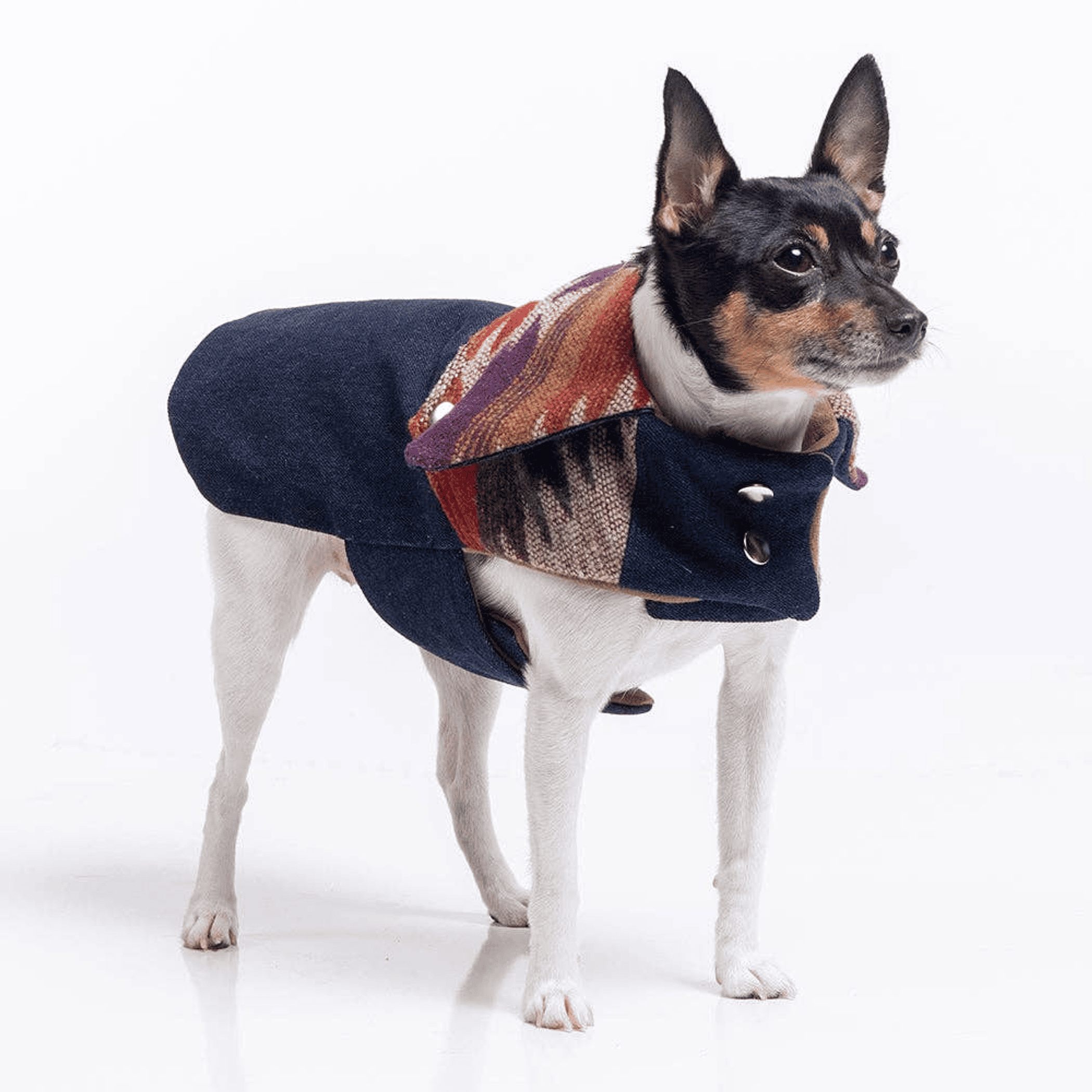 DCNY Ranch Coat (Color: Brown)