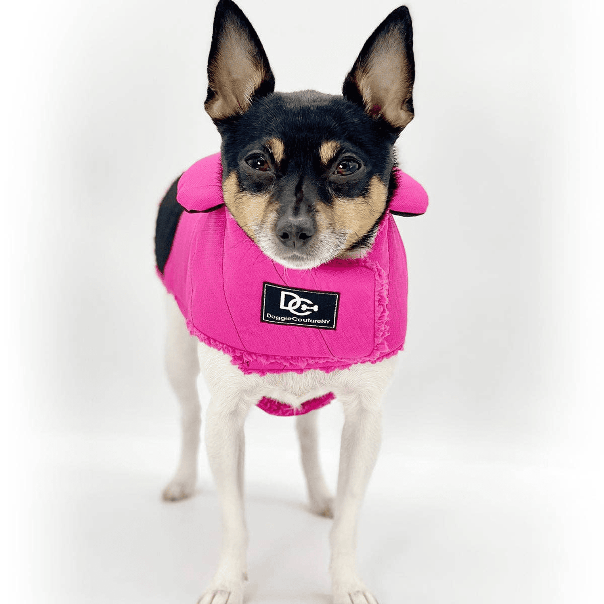 DoggieCoutureNY Water Resistant Coat (Color: Black)
