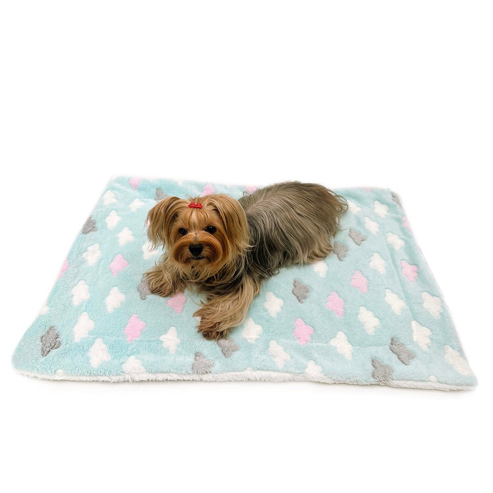 Ultra Plush Fluffy Clouds Blanket (Size: L)
